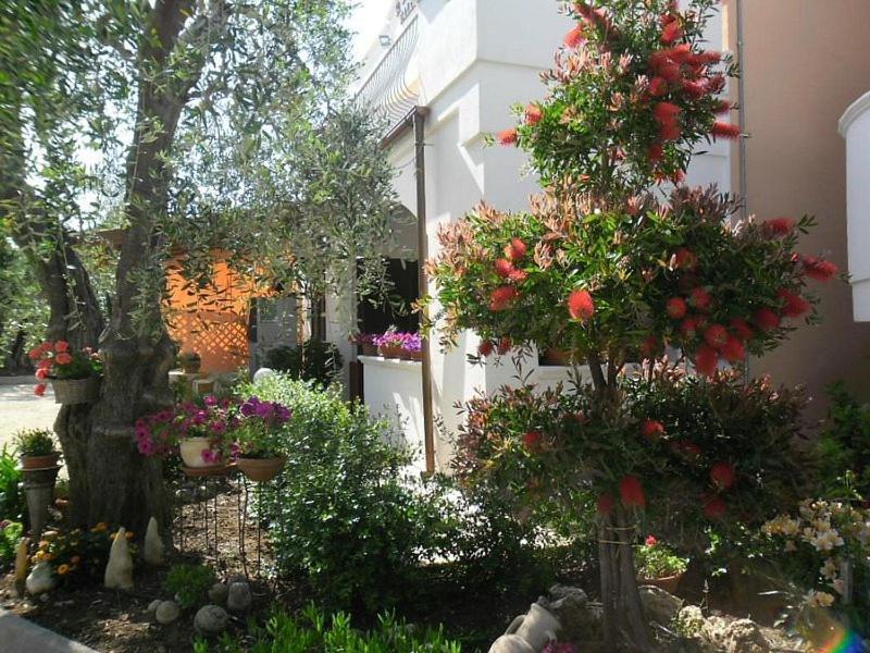 Residence Valleverde Vieste Bagian luar foto